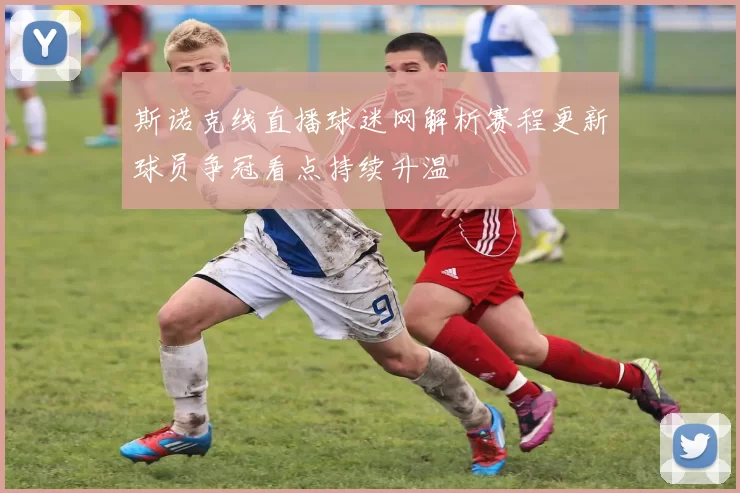 斯诺克线直播球迷网解析赛程更新球员争冠看点持续升温