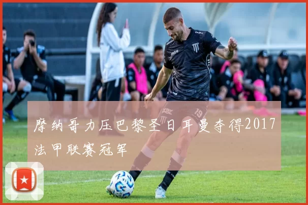 摩纳哥力压巴黎圣日耳曼夺得2017法甲联赛冠军