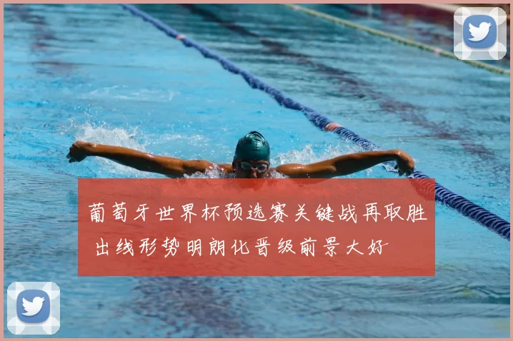 葡萄牙世界杯预选赛关键战再取胜 出线形势明朗化晋级前景大好