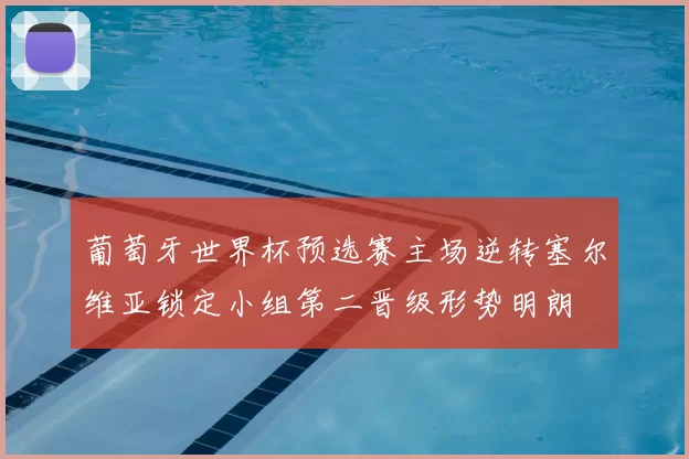 葡萄牙世界杯预选赛主场逆转塞尔维亚锁定小组第二晋级形势明朗