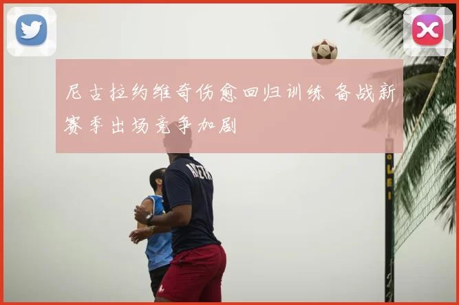 尼古拉约维奇伤愈回归训练 备战新赛季出场竞争加剧