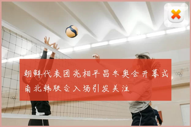 朝鲜代表团亮相平昌冬奥会开幕式南北韩联合入场引发关注