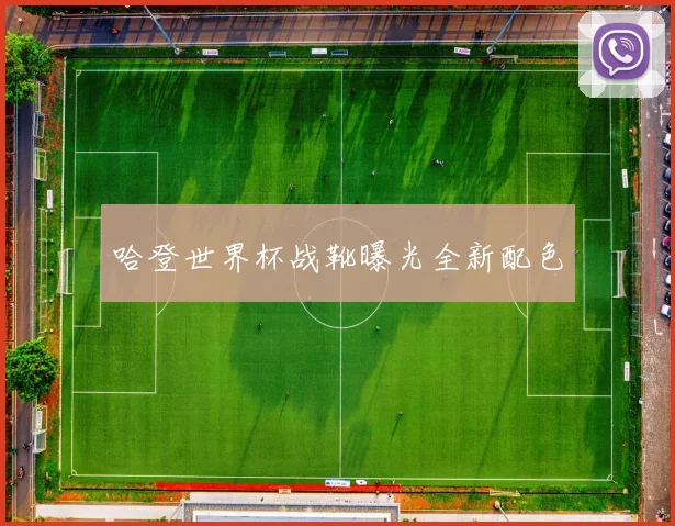 哈登世界杯战靴曝光全新配色