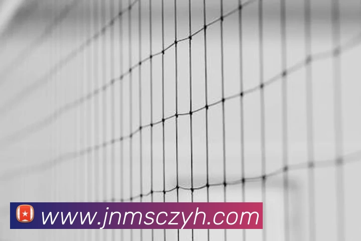 App Interface Preview